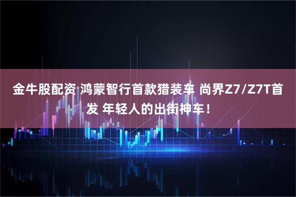 金牛股配资 鸿蒙智行首款猎装车 尚界Z7/Z7T首发 年轻人的出街神车！