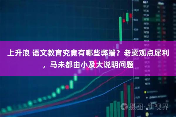 上升浪 语文教育究竟有哪些弊端？老梁观点犀利，马未都由小及大说明问题