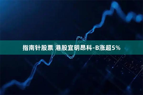 指南针股票 港股宜明昂科-B涨超5%