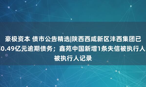 豪极资本 债市公告精选|陕西西咸新区沣西集团已化解0.49亿元逾期债务；鑫苑中国新增1条失信被执行人记录
